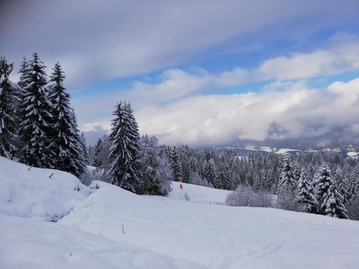 Ferienwohnung Mit Blick Auf Die Buchensteinwand Hochfilzen Dış mekan fotoğraf