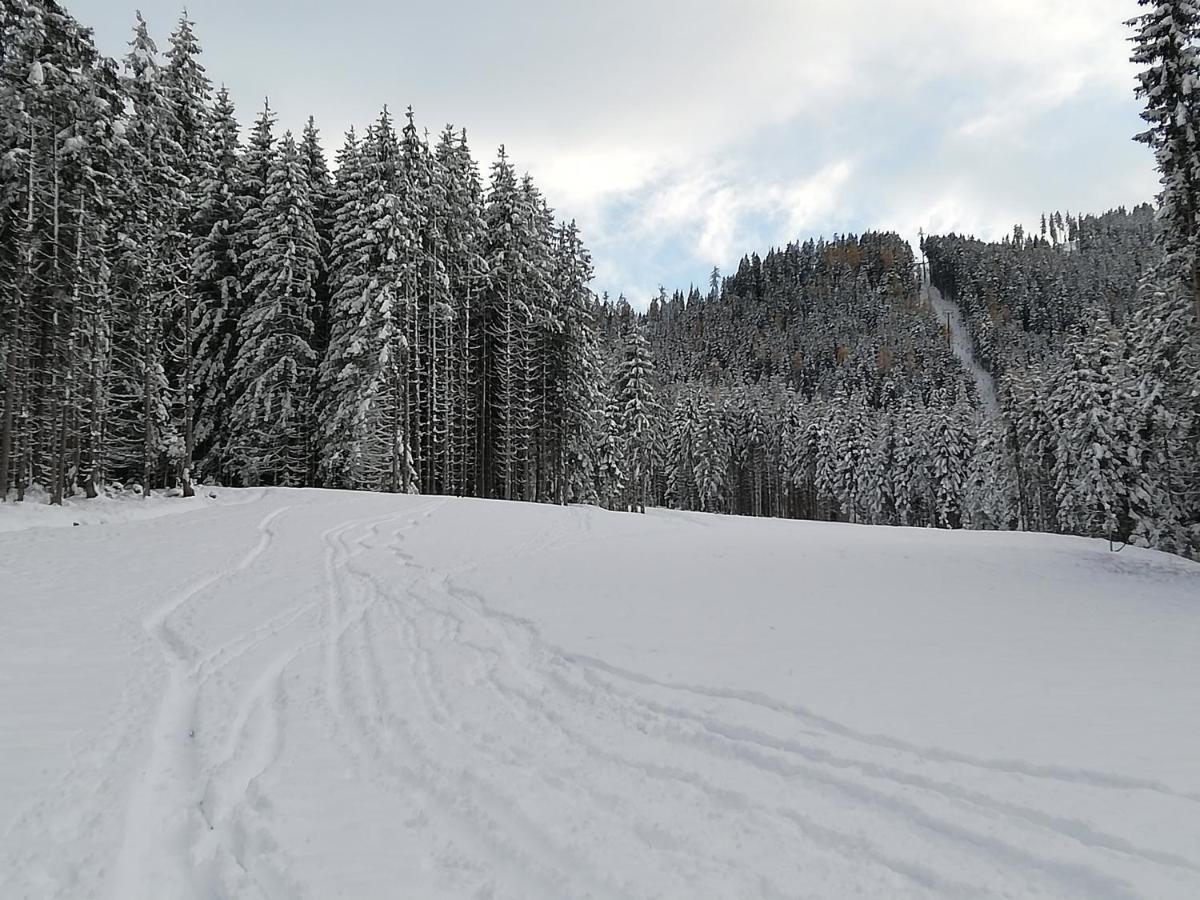 Ferienwohnung Mit Blick Auf Die Buchensteinwand Hochfilzen Dış mekan fotoğraf